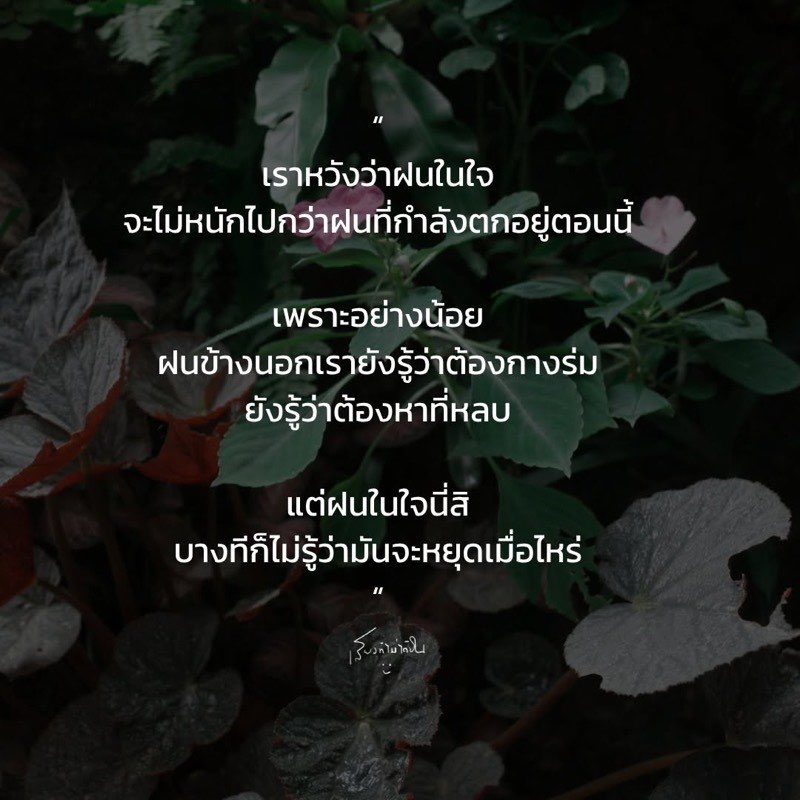 เราหวังว่าฝนในใจ