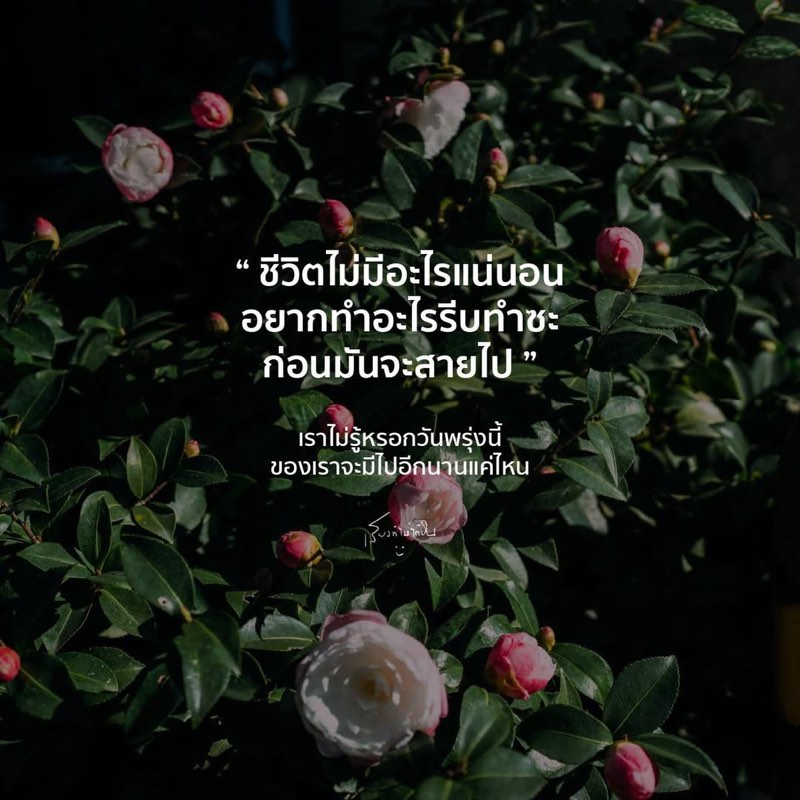 เราไม่รู้หรอก