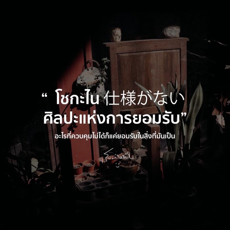 โชกะไน (Shoganai)