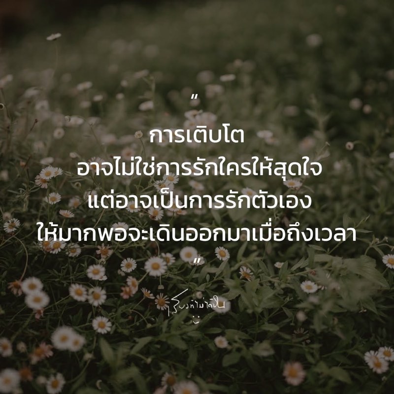 การเติบโต