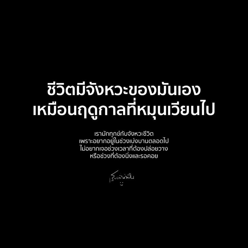 ทุกชีวิตมีจังหวะของมันเอง