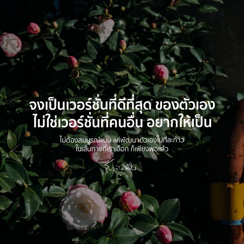 เมื่อเราพยายาม