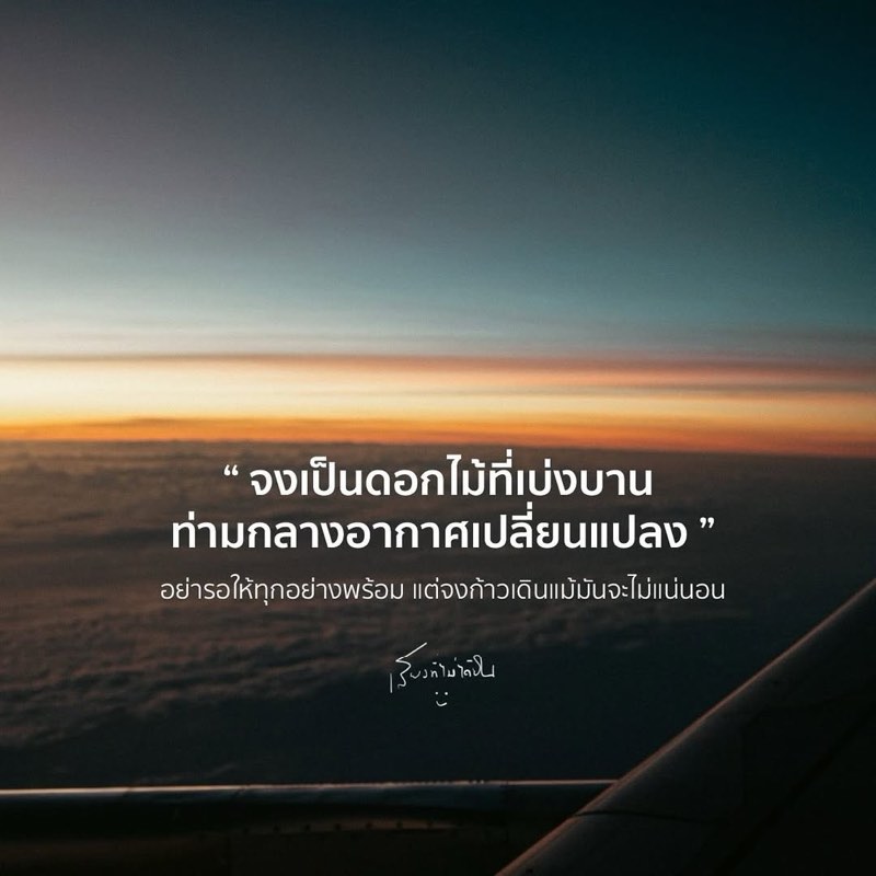 จงเป็นดอกไม้ที่เบ่งบาน