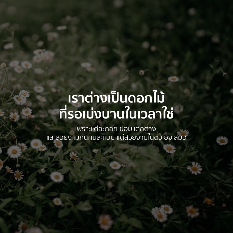 เคยไหม ที่เผลอมองคนอื่นแล้วคิดว่า "ทำไมเขาเก่งจัง"