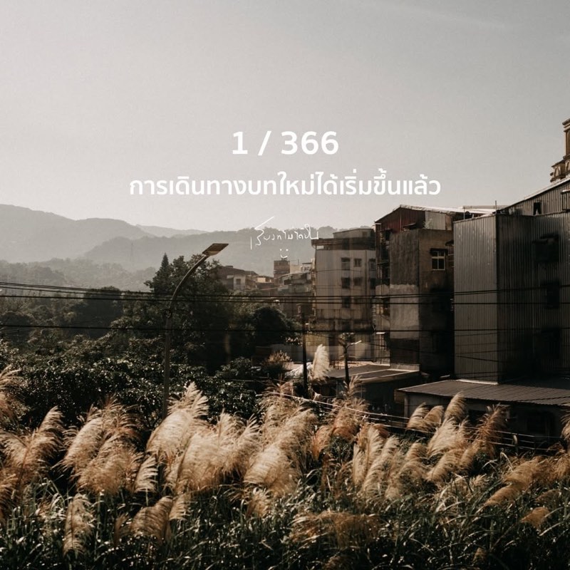 1 / 366 เติบโตขึ้นอีกปี