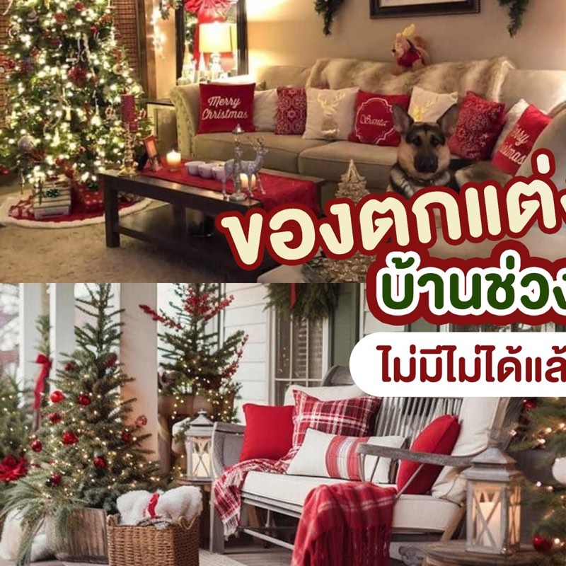 พร้อมมมมมแต่งบ้านแล้ว