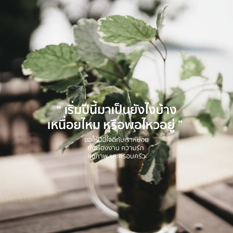 เริ่มปีนี้มาเป็นยังไงบ้าง?