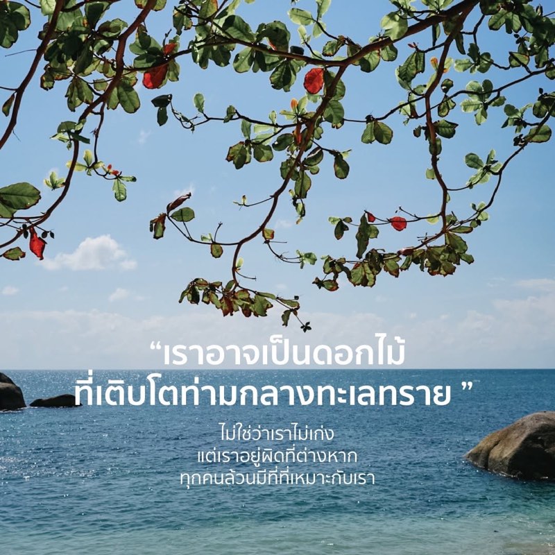 ไม่ใช่ว่าเราไม่เก่ง