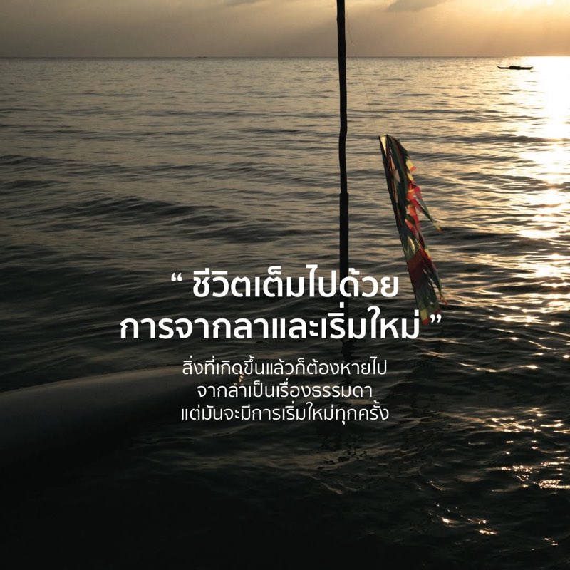 ลาแล้วนะปีนี้