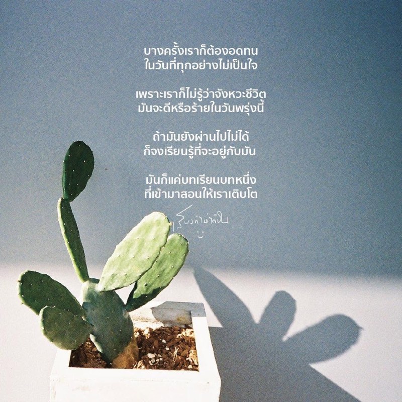 บางครั้งเราก็ต้องอดทน
