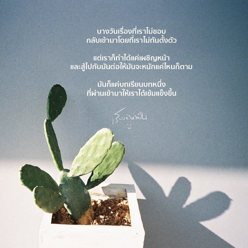 บางวันเรื่องที่เราไม่ชอบ
