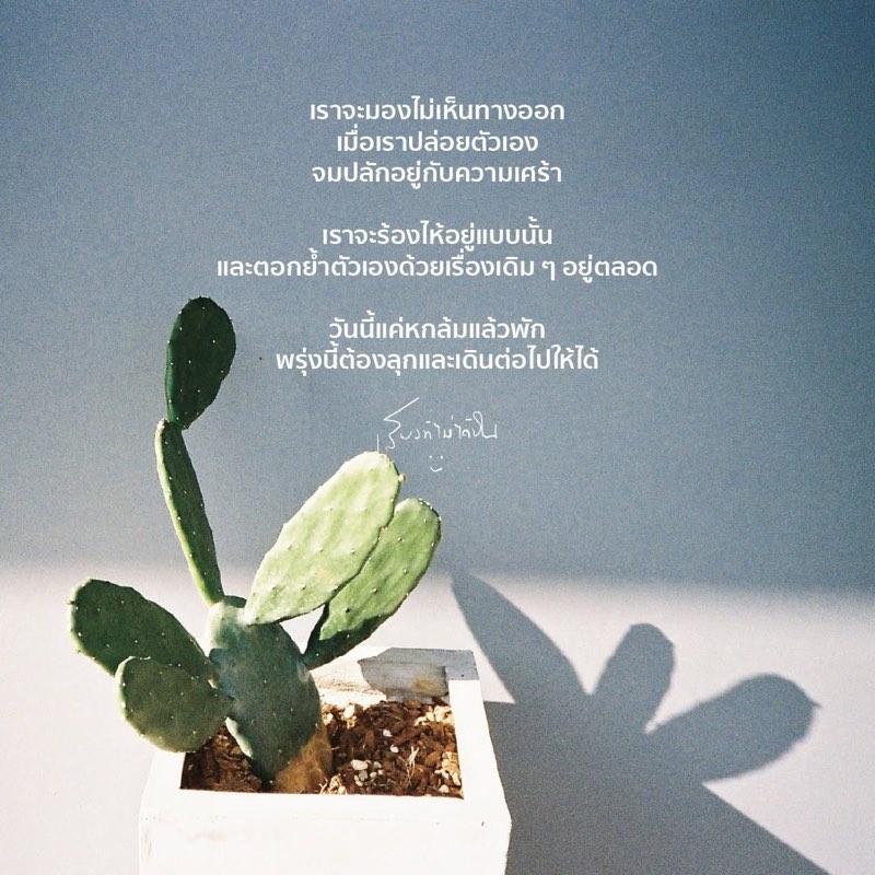 เราจะมองไม่เห็นทางออก