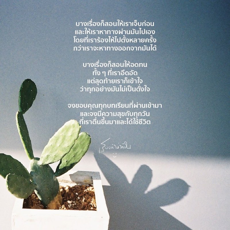 ชีวิตมีบทเรียนตั้งเยอะ