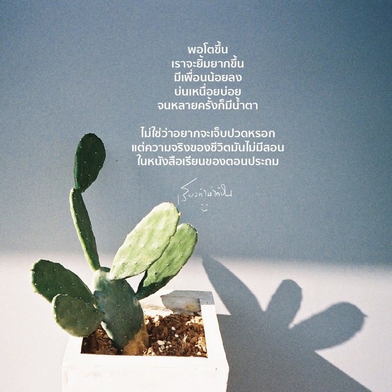 พอโตขึ้น